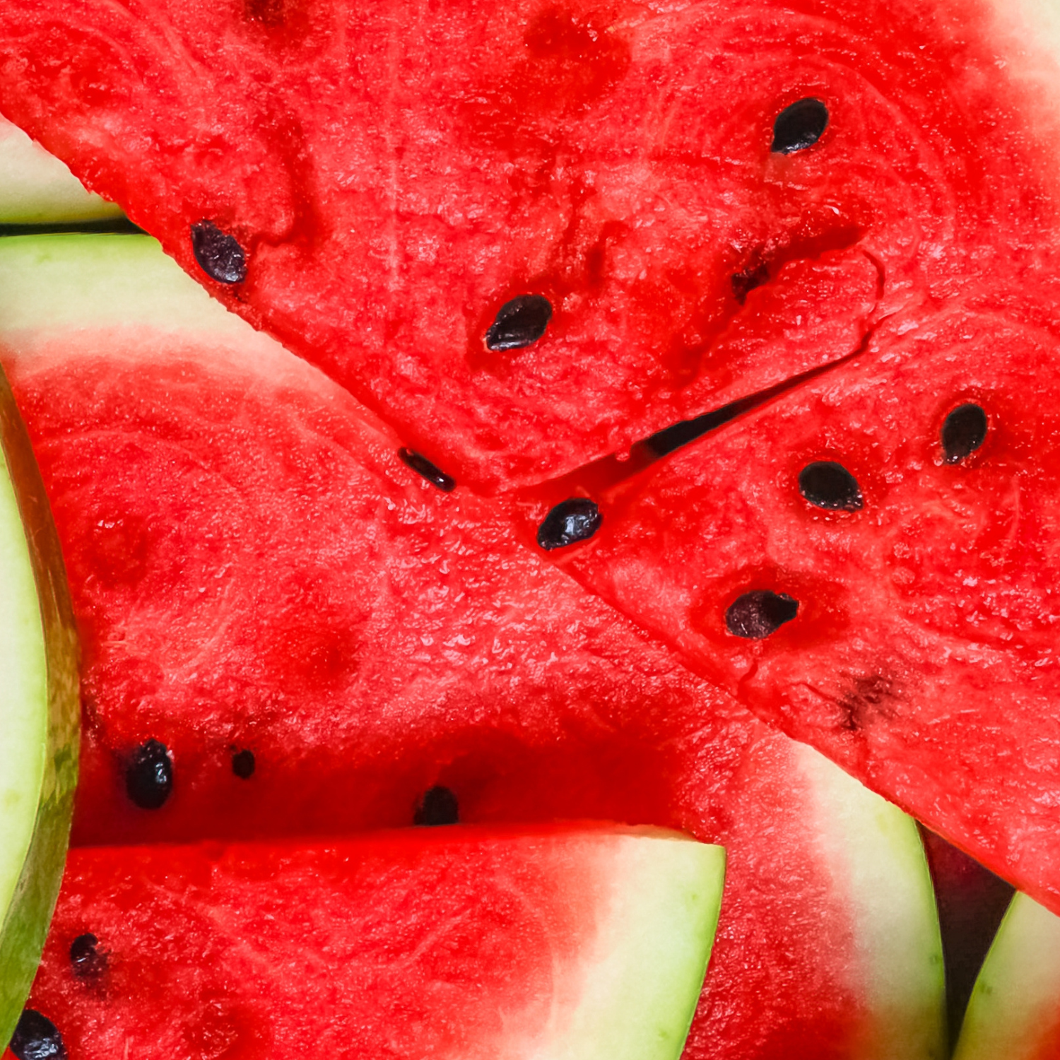 Wassermelonenscheiben